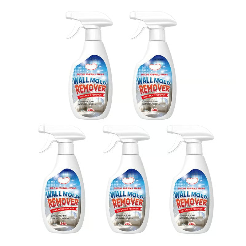 Fast Acting Anti-Mold Wall Cleaner Spray