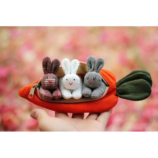 🎁 Hide-and-Seek Bunnies in Carrot Pouch