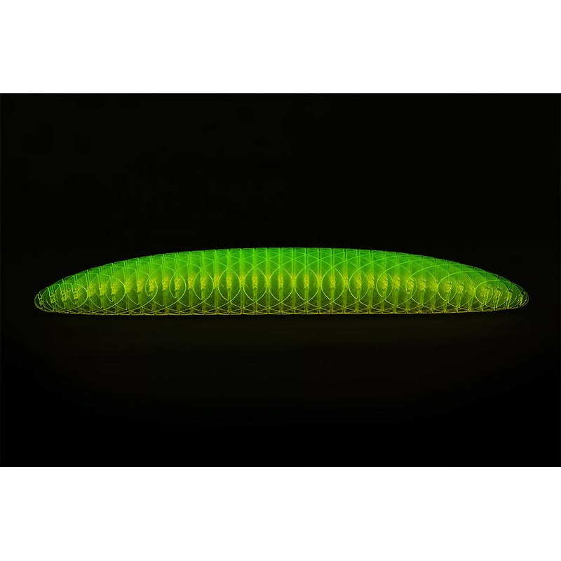 🔥Worm Big Fidget Toy